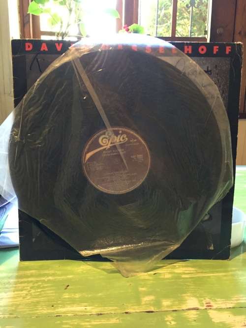 David Hasselhoff, Original Signed Vinyl/LP Night Rocker