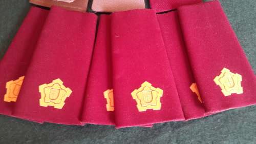 SADF Medical Corps Major`s shoulder boards lot.