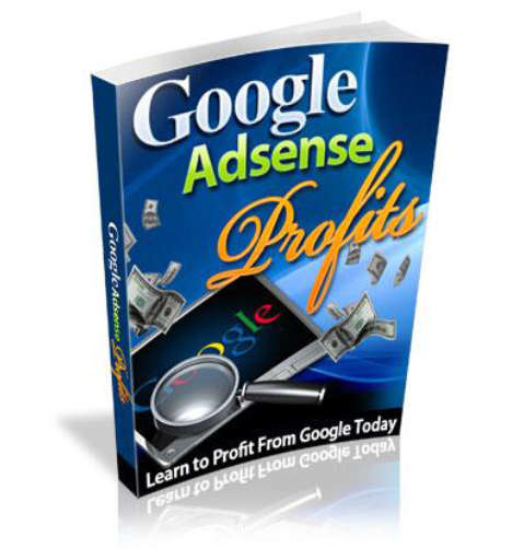 Google AdSense Profits