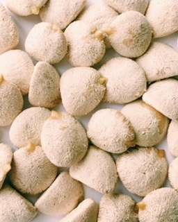 Nuez de la India Original 100% Natural 1 Pack of 12 nuts