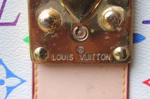 LV Speedy 30 Type Handbag