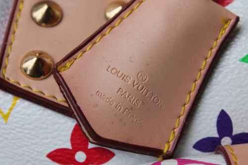 LV Speedy 30 Type Handbag