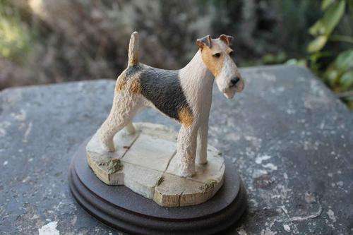 Fox Terrier Wire Best in Show