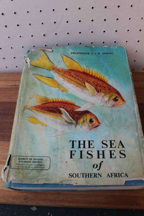The Sea Fishes of South Africa by Prof. Smith