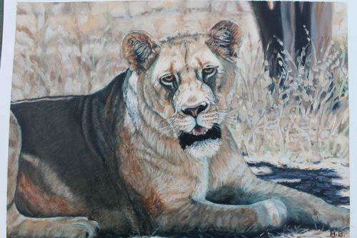 Lion Oil Painting on canvas