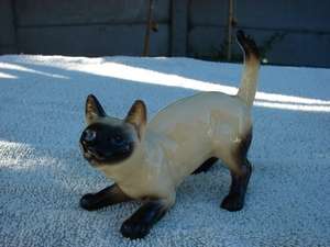 Vintage Siamese Cat