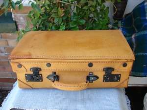Pig Skin Suitcase