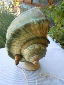Vintage Shell Lamp