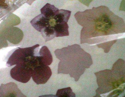 Table Cover - John Lewis:  120cm x 180cm