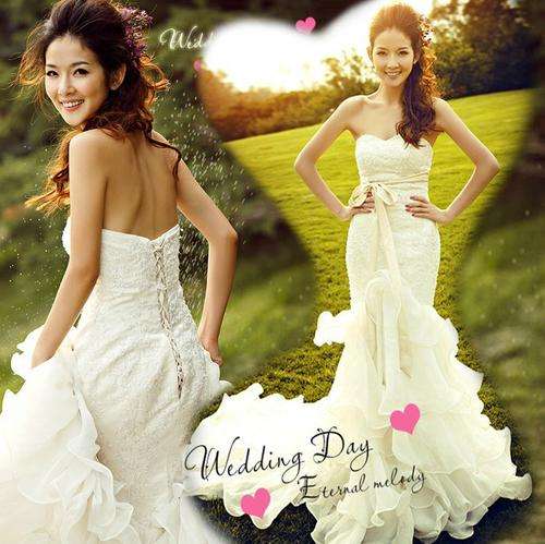 Lace Fishtail  Trailing  Wedding Dress