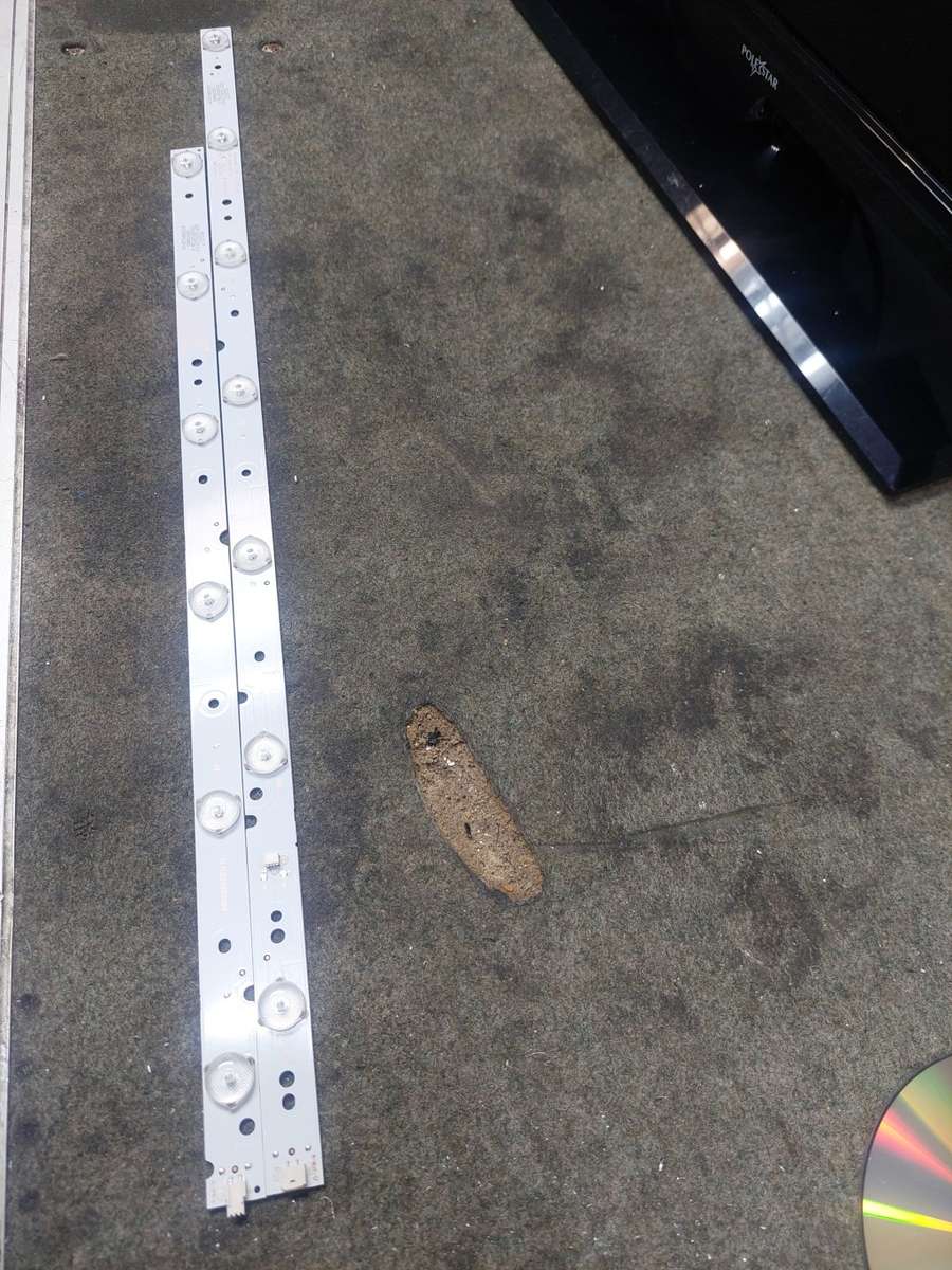 JVC SMART TV BACKLIGHTS  55 INCH