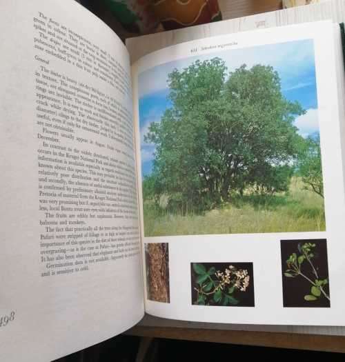 Trees of The Kruger National Park. 2 Volume set in Slip case.