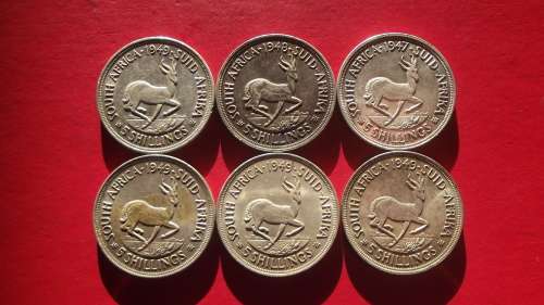 6 X SA UNION SILVER CROWNS / 5 SHILLINGS. 80% SILVER. BID PER CROWN TO TAKE ALL 6.