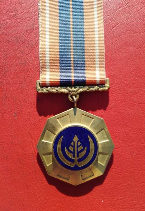 FULL SIZE PRO PATRIA MEDAL. BORDER WAR. LOW NUMBER: 34145.