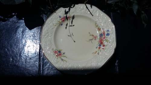 Crown Ducal Dinner set