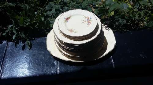 Crown Ducal Dinner set