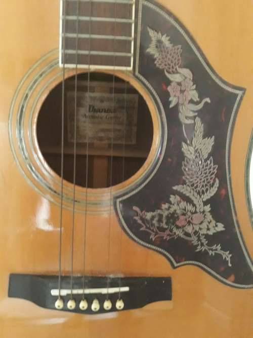 1982 Ibanez Acoustic (collectors) and hard case