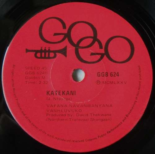 VAFANA NAVANWANYANA VANHLUVUKO - KATEKANI / MIHLOLO - 7 SINGLE 45 - SOUTH AFRICA - EXC UNPLAYED
