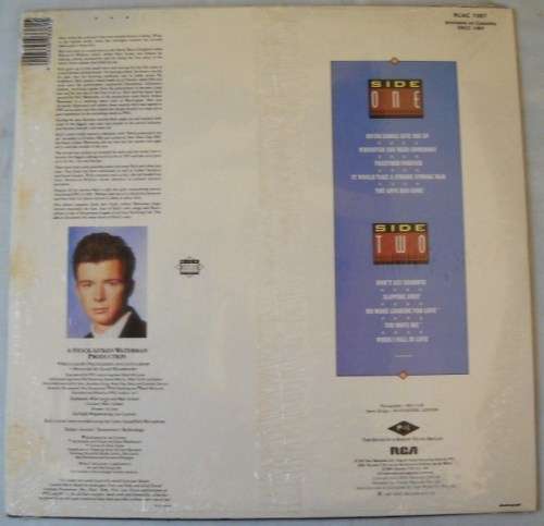 RICK ASTLEY - WHENEVER YOU NEED SOMEBODY - LP - SOUTH AFRICA - EXC / EXC IN SHRINK