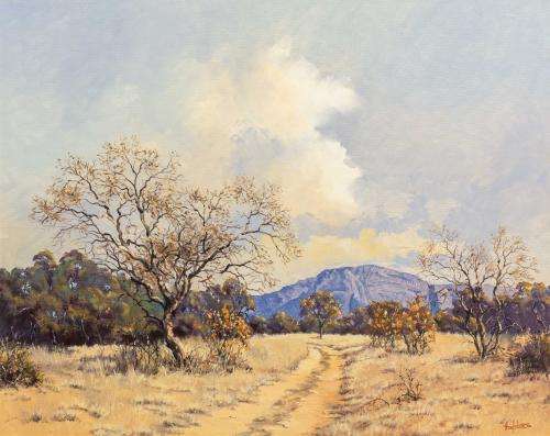 TED HOEFSLOOT - Bushveld Beauty!
