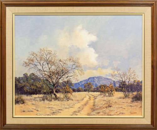 TED HOEFSLOOT - Bushveld Beauty!