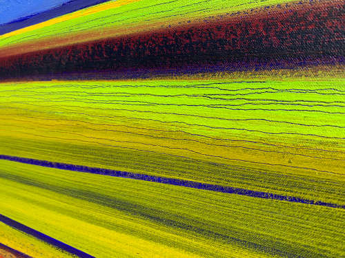 DERRIC VAN RENSBURG - Showstopper!