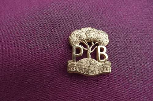SA-Pioneer Battalion Collar badge - gilded with both lugs-Bended
