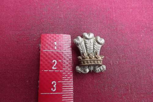 WW2-British Army The Welsch Regiment Collar Bi-Metal badge