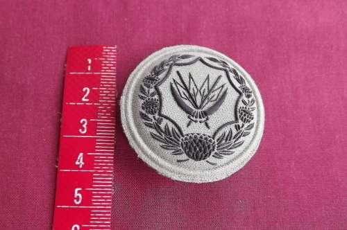 SANDF Badge for Reserve Voluntary Service BRVS Embossed With pins