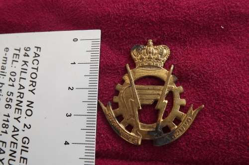 British India Pugnantus Adjuvo Army badge No lugs