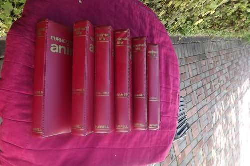 Set of 6 Volumes of Purnell's Encyclopedia of animal life.From the Aardvark to the Zebra