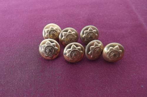 Lot of 7 small brass military buttons.