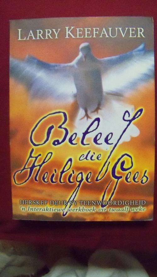 Beleef die Heilige Gees - n Interaktiewe werkboek vir twaalf weke - Larry Keefauver