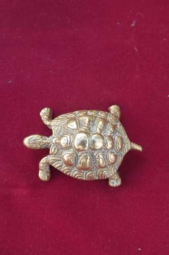 Solid brass tortoise