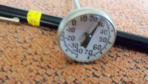 Antique Food Thermometer as per scan