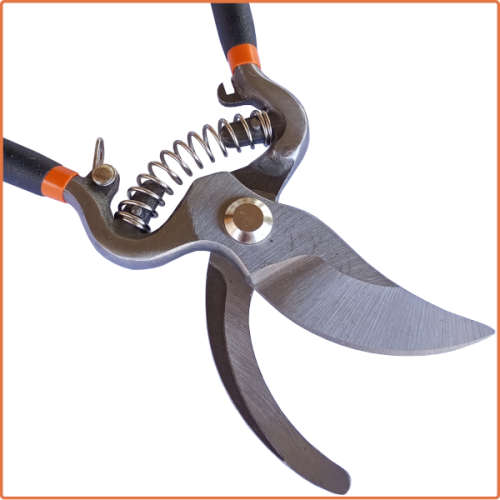 8" 200mm Pruner - 3 ON AUCTION