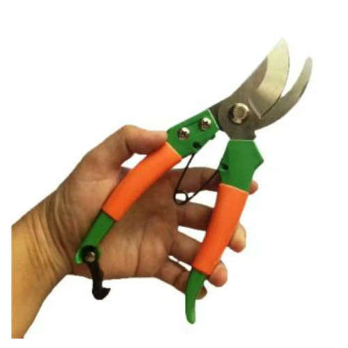 Pruning Sheers - 3 ON AUCTION