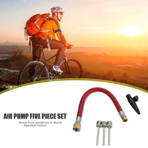 5pc Pump Needle Set