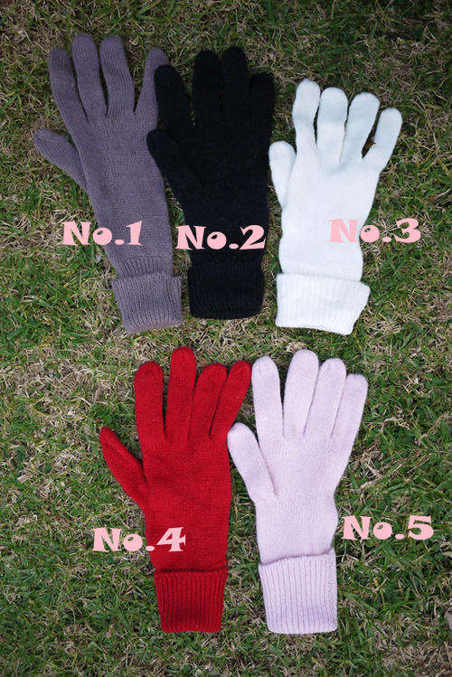 Winter Gloves (wholesale)