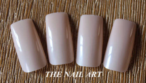 The Nail Art - Full Nail  500pcs 19#