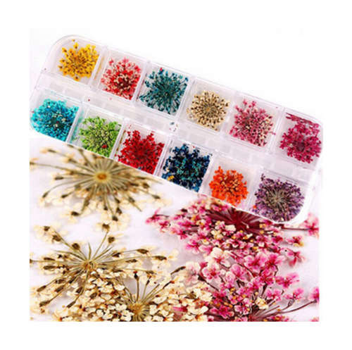 The Nail Art - 12pcs Dry Flowers Nail Decoration