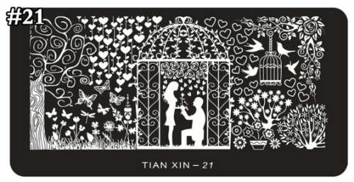 The Nail Art - Nail Stamping Plate Tianxin 21