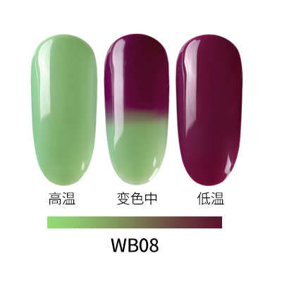 The Nail Art - AS Gel Polish 15ml Color Change WB08