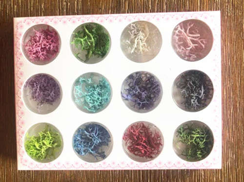 The Nail Art - Dry Flower 002#