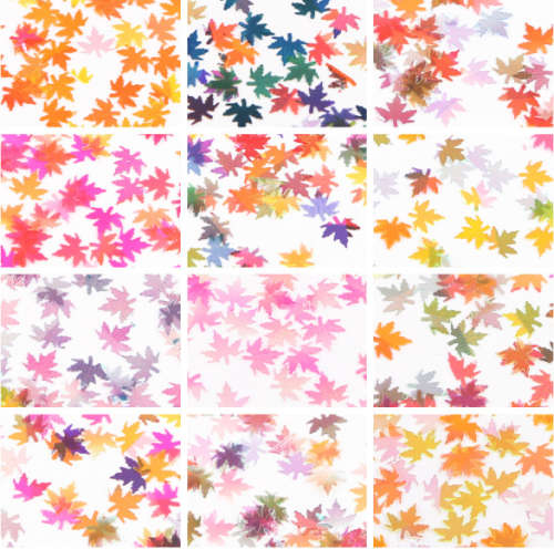 The Nail Art - 12 Colors Maple leaf Nail Art