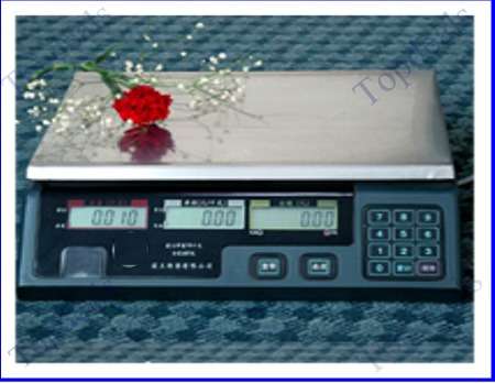 DIGITAL PRICE COMPUTING SCALE 30/40kg