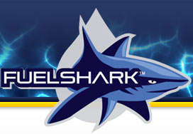 Fuel Gas Shark: How To Save Petrol