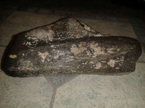 Black Bone Fossil