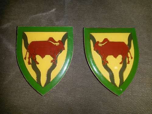 scarce facing pair SADF era Theunissen Commando tunic flash (s) - all pins