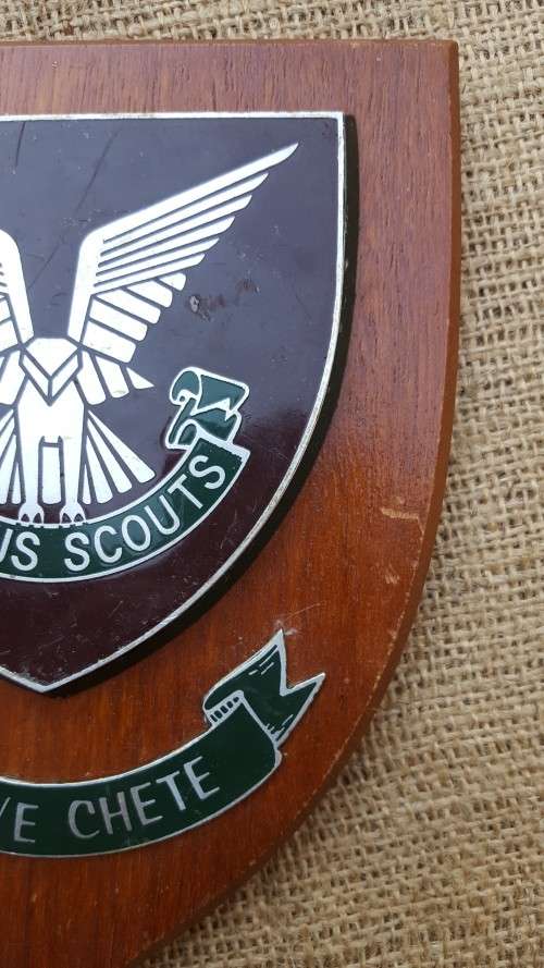 very scarce Rhodesian bushwar era original Selous Scouts period plaque - in great condition